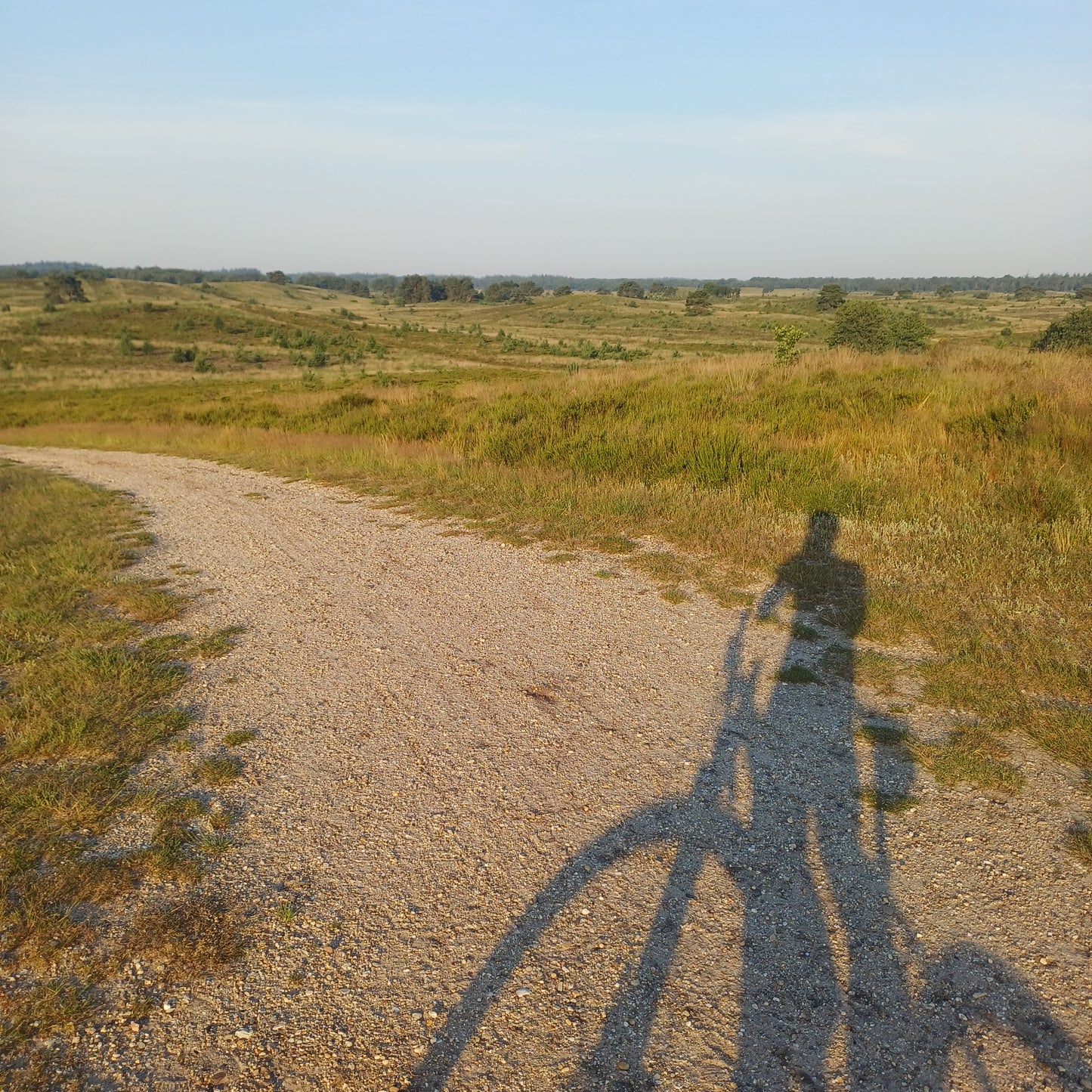 Begeleide Graveltocht op de Veluwe | Vierhouten | 2,5 uur